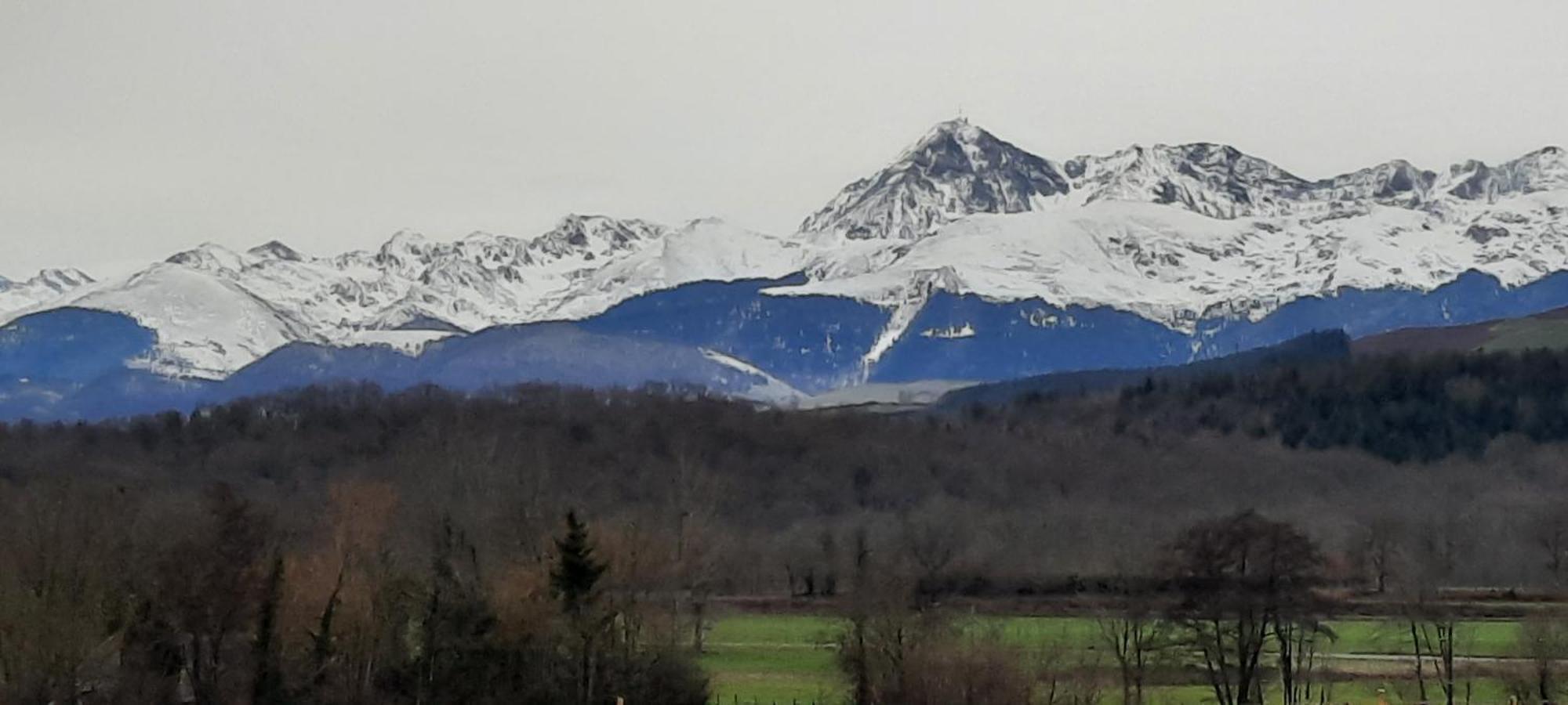 La Ferme Aux Fleurs Bed & Breakfast Ossun ภายนอก รูปภาพ